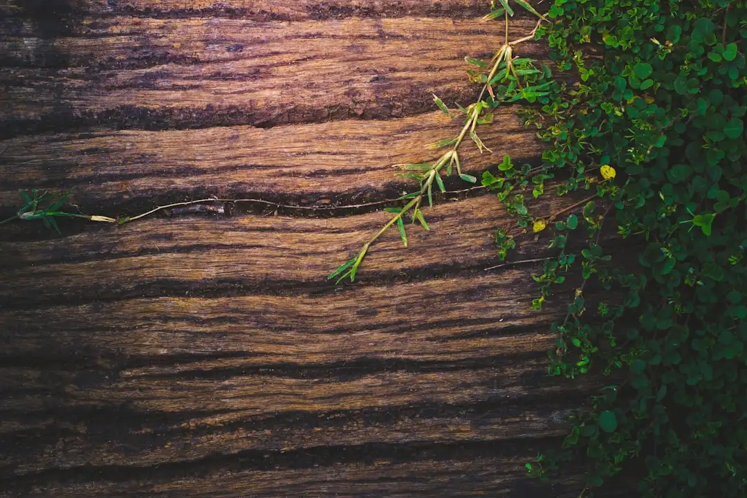 楼宇对讲设备在产业园区智能化管理中的技术演进方向