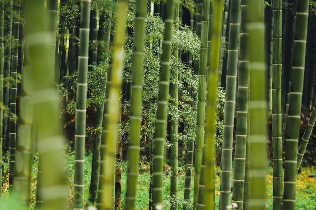 南宁产业园区门禁系统升级：读卡器与楼宇对讲设备的选型要点