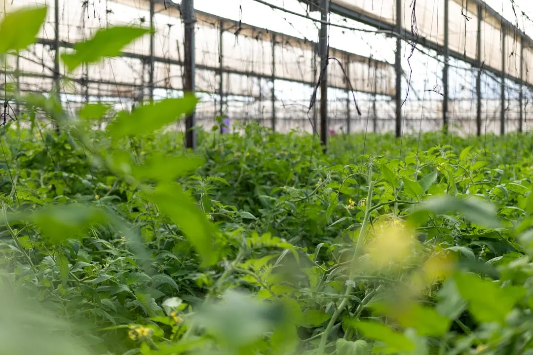 南宁产业园区门禁读卡器选型要点与安装注意事项